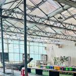 Glass Green House Cover Single Layer Hydroponic System For Greenhouse