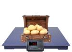 Industrial Heavy Duty Platform Single Deck Floor Weighing Scale 1000kg-5000kg