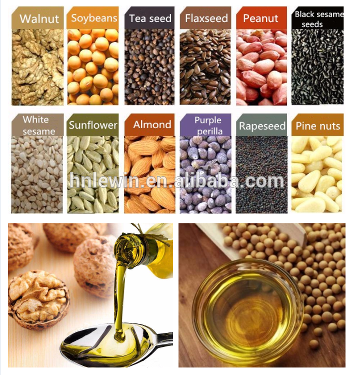Single Screw Oil Press Machine For soybean Peanut Seeds 20T / 24H Capacity