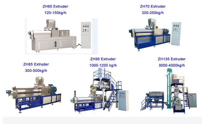 Fully Automatic Twin Screw Extrusion Kibble Dog Food Processing Plant Line for Dogs