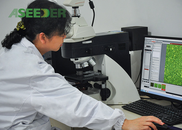 High Precision Radial TC Bearing , Tungsten Carbide Tile Bearing For Mud Motor