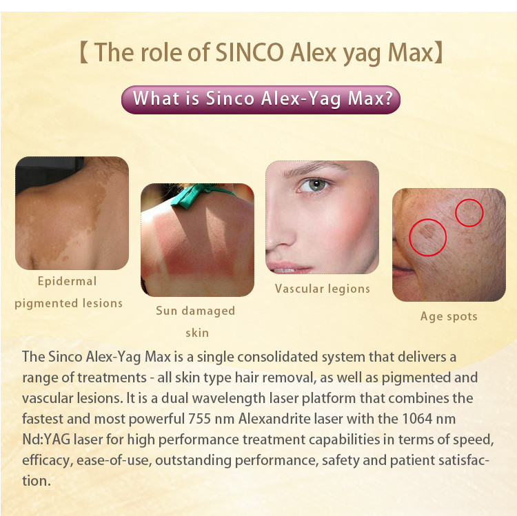Salon Nd Yag Alexandrite Laser Hair Removal Machine Vascular Removal 755nm