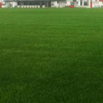 Ultraviolet Proof Synthetic Playground Turf Flexible Gorgeous Color Plastic