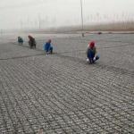CE/ISO9001/ISO14001 Certified Geogrids for Road Airport and Retaining Wall