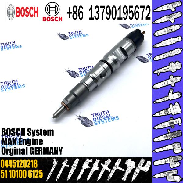 Diesel common rail injector 0445120218 0445 120 218 0 445 120 218 for European