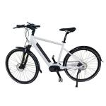 26" Wheel Size Suspension 500W MID Motor Mountain Electric Bike for Adventure