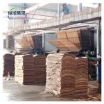 22.0 kW Power Sheet Metal Drying Equipment for Multi-layer Drying of Veneer Wood