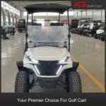 AC Motor 2 Seater Golf Buggy Off Road Electric Golf Car 20 - 30km/h