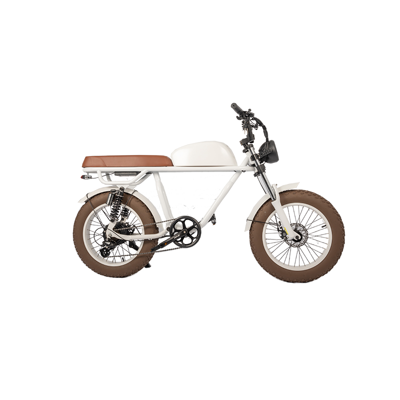 Retro Vintage E-Bike with 500W Bafang Rear Hub Motor Electric Bike OEM Wholesales Bike