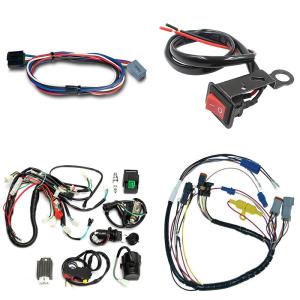 Wholesale 10-15 Days Lead Time Custom 2500 W Electric Scooter Wiring Harness for Oceania Market from china suppliers