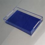 Lemon Color Acrylic Serving Tray For Coffee Fruits Hotel Restaurant Home Using