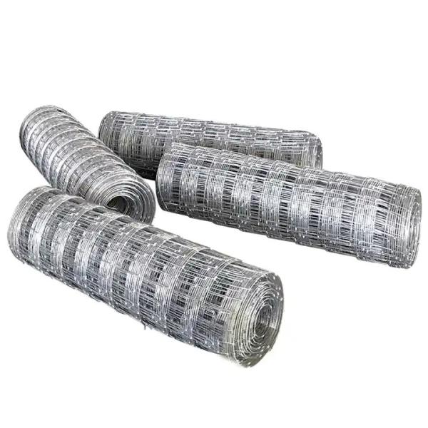 Main Iron Gate Designs Low Carbon Steel Wire 2 Feet Horse Fence Roll Wire Mesh