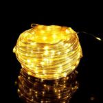 100/200/300 LED Rope String Lights Waterproof Copper Wire Tube Fairy Garland