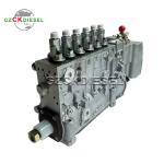 Fuel Injection Pump 65.11101-8008 65.11101-8008A 65.11101-8008C For Doosan