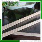 Construction WBP 1220*2440mm Film Faced Shuttering Plywood