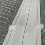 Annilte Hot sale egg collection belt in poultry farm