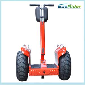 Wholesale Ecorider Personal Electric Scooter Hover Board With Special Anti - Theft Lock from china suppliers