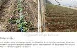 Agricultural PE drip irrigation pipe with high quality low price,Inner Flat