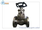 Light Weight Titanium Alloy 12˝ Industrial Metal Valves
