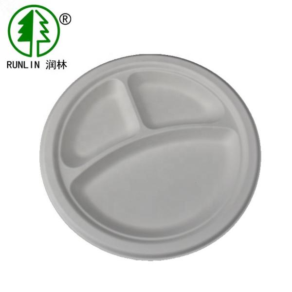 Tropical Biodegradable Compostable Dinnerware Wedding Parties Plate Disposable