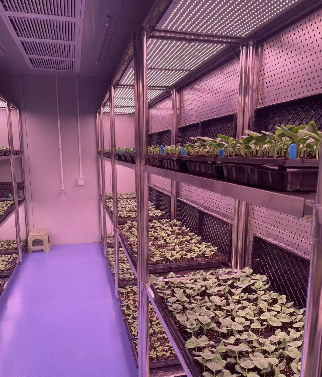 Container Farming Lighting System for Greenhouses