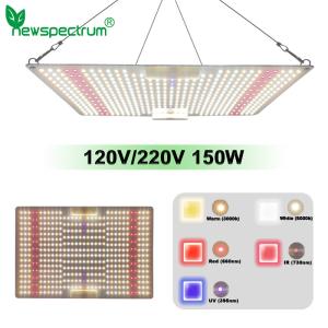 Wholesale LED Indoor Grow Lights 650W 5000K Energy Saving For Plants Flowers from china suppliers