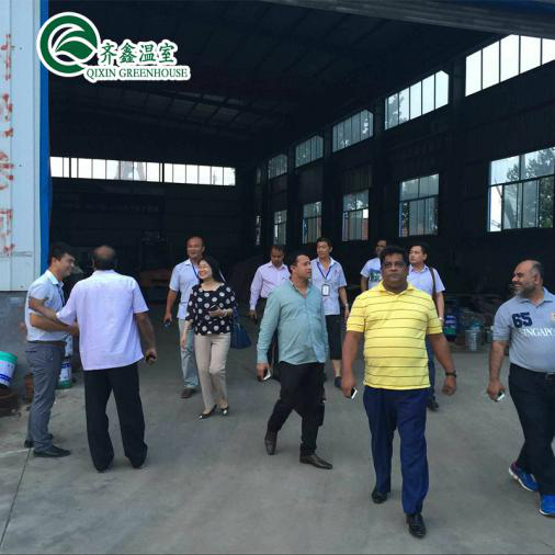 Single Layer PO Commercial Multi Span Polycarbonate Sheet Greenhouse for Agriculture