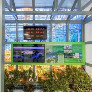 Wholesale Customized Greenhouse for Agriculture Commercial Glass/Tempering Glass/Float Glass from china suppliers