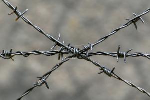 Wholesale Single Twist Barbed Wire from china suppliers