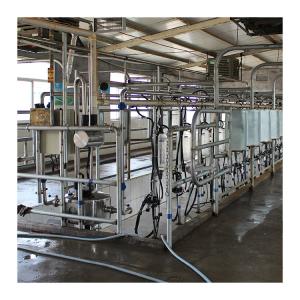 Wholesale Dairy Farm 4KW Herringbone Milking Parlor With Food Grade Glass from china suppliers