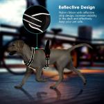 Outdoor Pet Dog Harness Leash Adjustable Reflective Vest With D Ring Buckle