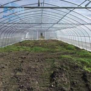 Wholesale Philippines Prefabricated Kit single-span Strawberry Greenhouse Tunnel Plastic Greenhouse from china suppliers