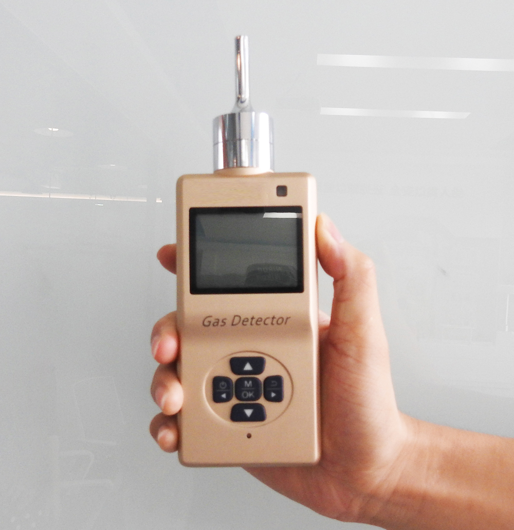 portabel gas detector