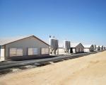 Strong Durable Agri Steel Buildings Prefab Farm Buildings Long Life Span