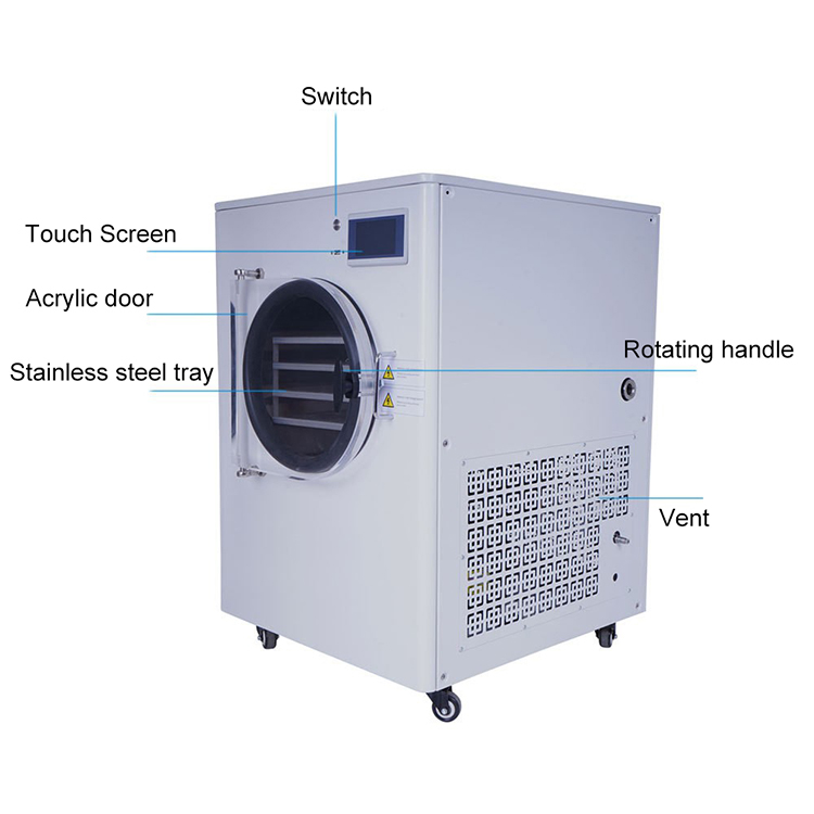 Automatic Cheap Price Freeze Dryer India Commercial