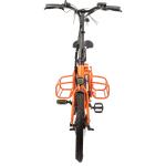 Family Delivery E-cargo Two Battery Max Loading Family E Bicycle Electric Bike