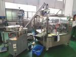 500g 1000g Doy Bag Detergent Packing Machine Automatic
