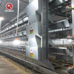 Fully Automatic Broiler Chicken Poultry Cage Farm Equipment H Type Animal