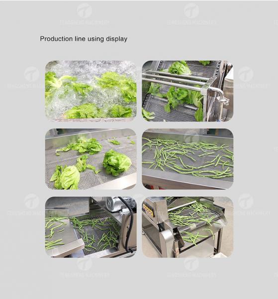 1000KG/H Fruit And Vegetable Processing Line Bubble Washing And Vibrating Drying