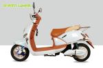 60V 20Ah Battery Pedal Assist Electric Scooter Disc Brake For Front Wheel