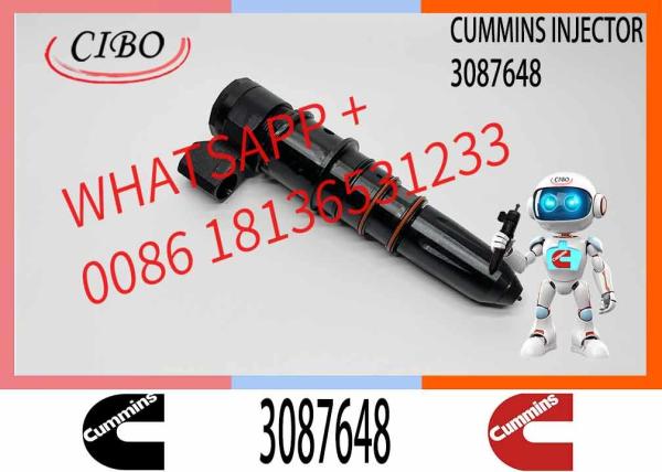 Diesel Common Rail Injector 3406604 3411821 3071497 3087648 4914328 3018835