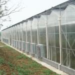 Commercial Polycarbonate Sheet Greenhouse / PC Sheet Greenhouse Customized