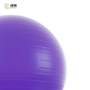 Wholesale Anti Burst Balance Exercise Ball Gym Exercise Yoga Ball With Hand Pump from china suppliers