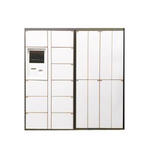 Wholesale CRS Steel Dry Cleaning Locker For Laundry Business With Wifi 3G Internet Connected from china suppliers