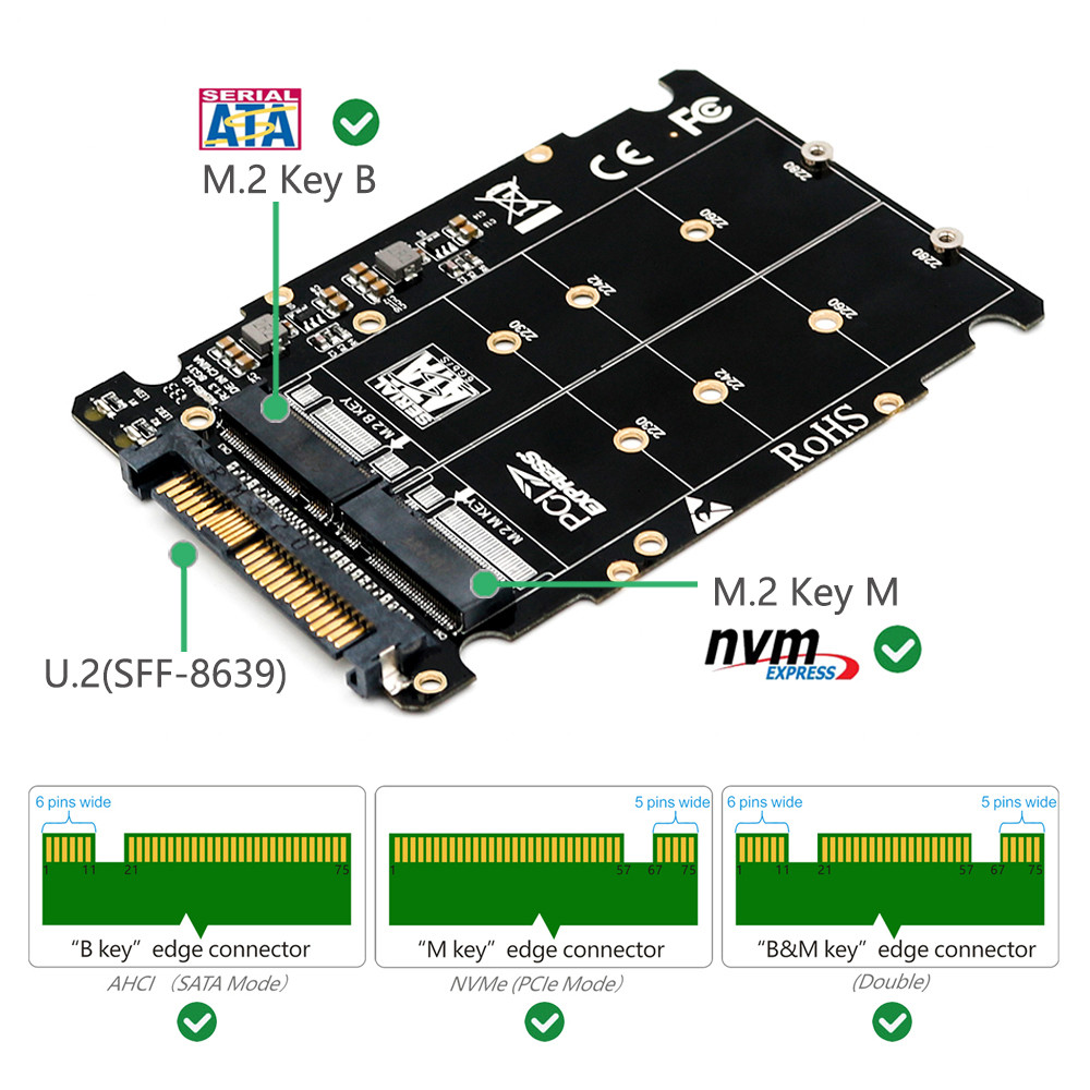 M.2 SSD To U.2 PCI E Adapter M.2 NVMe SATA Bus U.2 SFF-8639