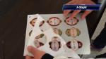 A4 size, desktop Digital Label Cutter A-Starcut for Paper Sticker