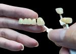 Stain Resistant All Porcelain Bridge Comfortable Fit For Dental Restoration