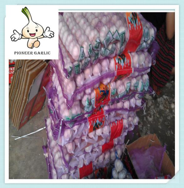 China Fresh White Natural Garlic Supplier garlic for sale 5pcs in 10kg carton