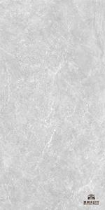Wholesale Modern Porcelain Tile Industrial Style Light Grey Square Tiles Concrete Floor Glazed Porcelain Tiles 1600*3200mm from china suppliers