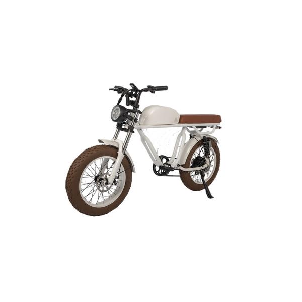 DOMANCA Vintage Moto Style Electric Bike 7 Speed Gears 70-80 Nm Torque Fat Tire